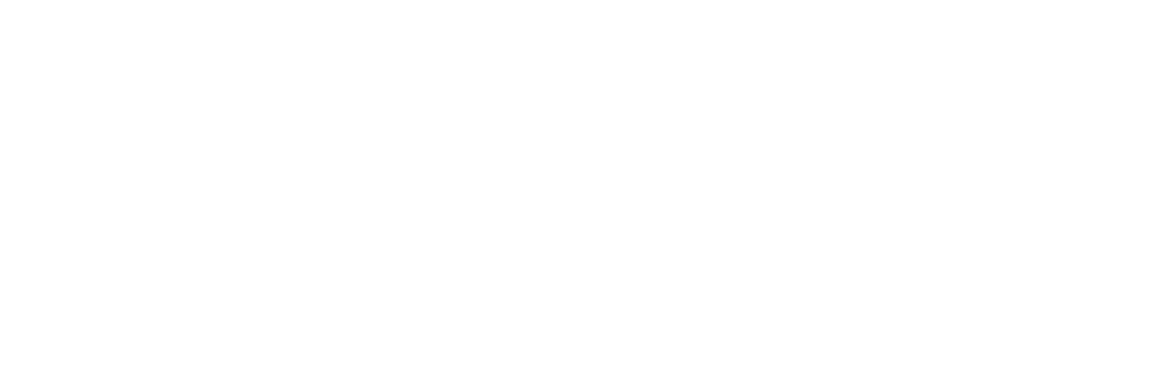 Celo Logo